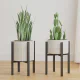 Linpla 2-Pack Adjustable Metal Plant Stand Indoor Outdoor - Fits 8 to 12 Inches Pots - Mid Century Modern Planter Stand Black Flower Pot Holder Home Decor for Gardening Gifts