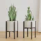 Linpla 2-Pack Adjustable Metal Plant Stand Indoor Outdoor - Fits 8 to 12 Inches Pots - Mid Century Modern Planter Stand Black Flower Pot Holder Home Decor for Gardening Gifts